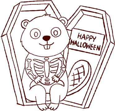 Happy animal beaver wearing skeleton costume inside open coffin black line outline drawing for halloween holiday