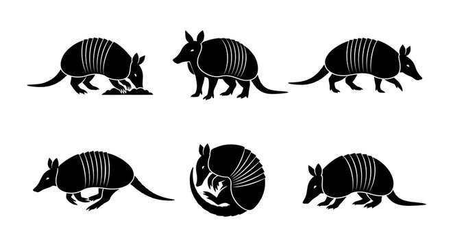 armadillo animals wildlife mammal illustration vector