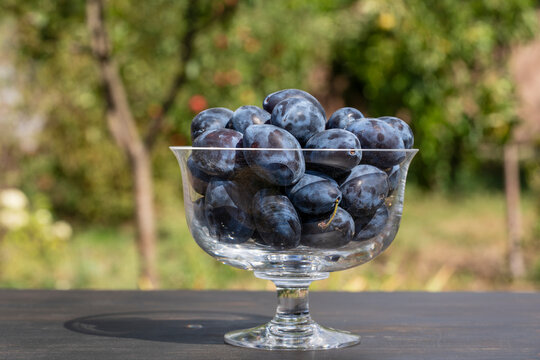 Fresh ripe blue plums in glass bowl outdoors, closeup. Sweet organic damson plums with natural bloom in elegant glass vase on dark wooden table in sunny summer garden harvest concept