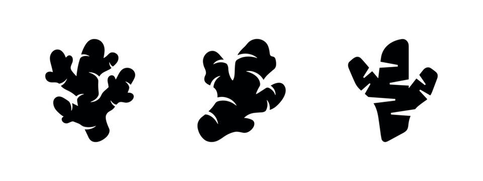 Stylized black ginger root icon set on a white background.