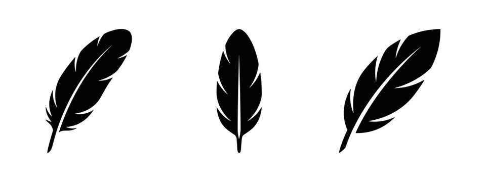 Set of distinct black feather silhouette icons on a white background.