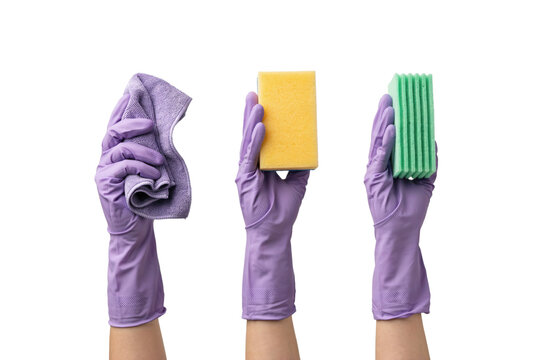 Three hands wearing purple rubber cleaning gloves holding a purple cloth, a yellow sponge, and a green scrubber isolated on a transparent background