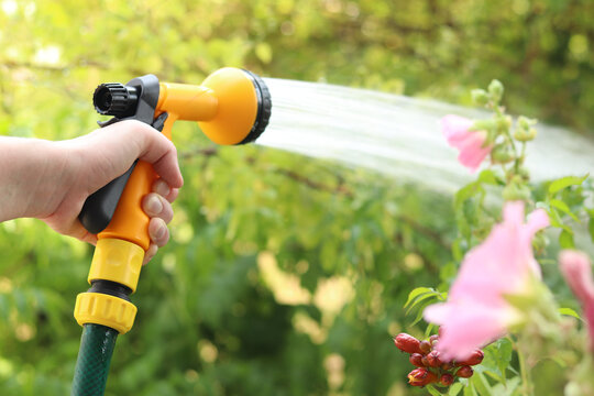 Woman watering plants with a yellow hose spray gun. The process of watering a garden or vegetable garden with water from a hose with a nozzle, plant care, watering plants, summer season