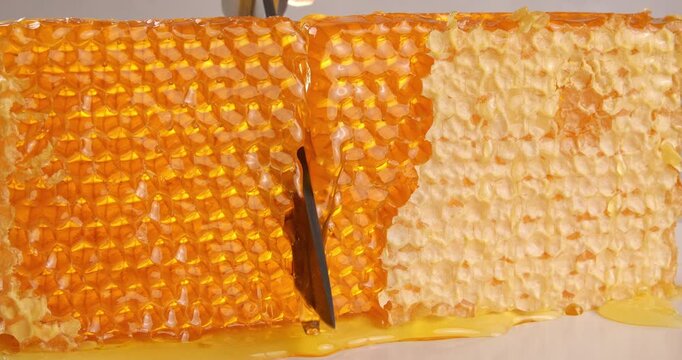 Piece of honeycomb cut in half with a knife, close-up video.