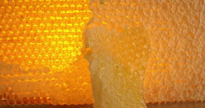 Wooden beehive frame with honeycombs close-up video. Combs full of honey, some with wax caps cut off.