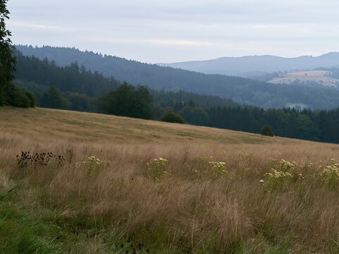 German foothill meadow with distant hills and cloudy sky