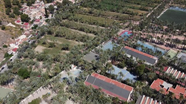 Drone flies over sports courts in the Orihuela palm grove, tilting up to reveal the San Anton neighborhood in Alicante, Spain. High-angle stock footage.