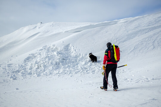 Mountain Rescue Team Member with Search Dog at Avalanche Site