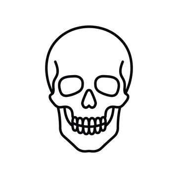 Minimalist Skull Line Art Illustration for Halloween.