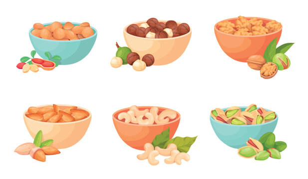 Nuts bowl. Salted nut and seeds in plate, hazelnut cashew peanut walnut almond dish diet snack pile healthy vegetarian food dry groundnut nuts mix set neat vector illustration