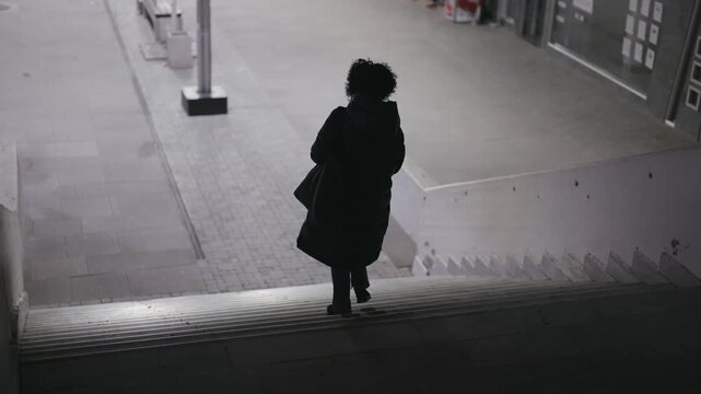 A woman is walking down a staircase in the dark. She is wearing a black coat and carrying a handbag. The scene is quiet and peaceful, with no other people or objects visible, horror scene