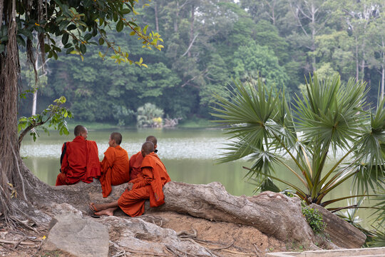 Buddhist Monks in Orange Robes Sitting by Jungle Lake at Angkor