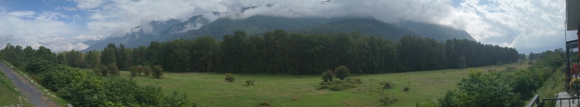 Prato alpino con bosco e montagne avvolte dalle nuvole