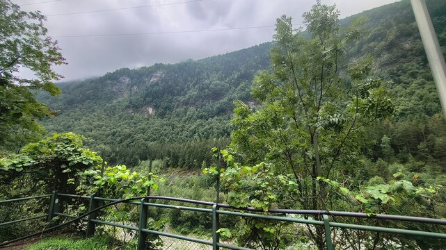 Vista Panoramica su Montagna Boscosa con Ringhiera e Rigogliosa Vegetazione