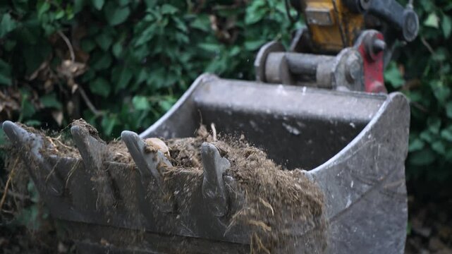 A shovel is digging into the ground. The shovel is silver and has a handle. The ground is brown and rocky