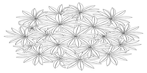 Obraz premium Tropical foliage cluster with detailed botanical leaf outlines in black and white line art vector illustration.