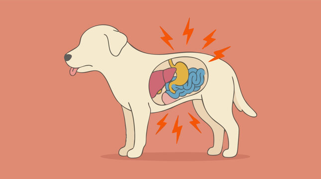 Illustration of a dog with internal organ pain or digestive issues
