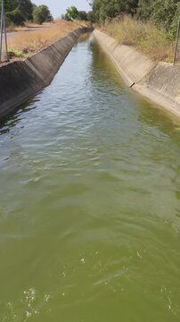Agua corriendo por canal de regadios para agricultura ecol&oacute;gica 