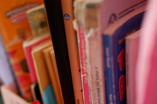 Row of colorful books arranged neatly on a wooden bookshelf in a library