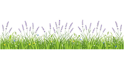 Obraz premium Horizontal Border of Green Grass with Purple Lavender and Wildflowers Illustration Isolated on White Background