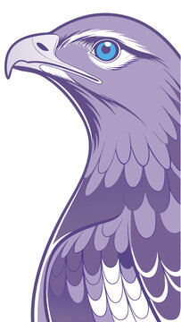 eagle vector illustration