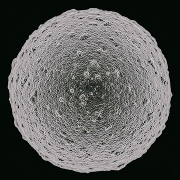 Scanning electron microscope view of spherical porous biological spore particle