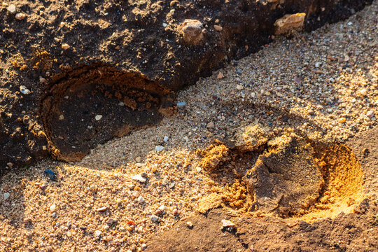 Deep, heavy boot tracks imprinted in mixed dark soil and gritty sand, highlighting a sharp contrast between textured earth and the clear impression left by a rugged outdoor footwear