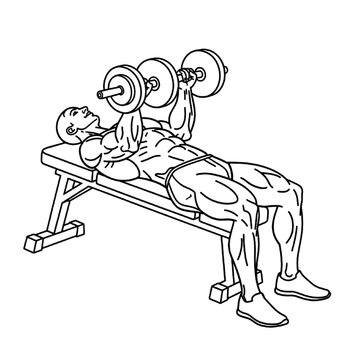 Muscular Bodybuilder Performing Dumbbell Chest Press Workout Exercise 2D Black Single Line Vector Illustration