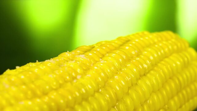 Grain of Salt Falls on Corn. The grains of salt slowly fall on the hot corn greased with butter
