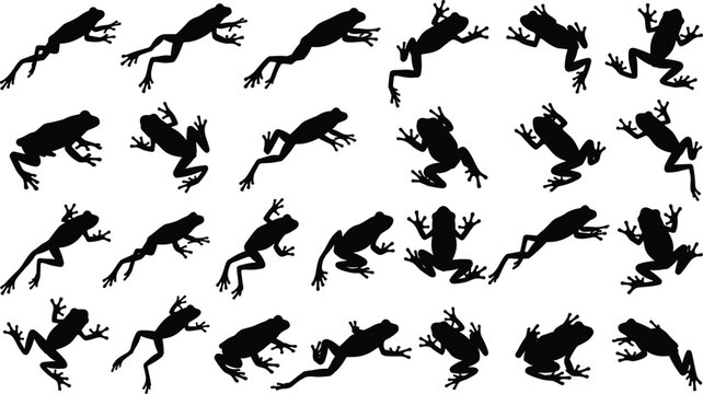 Collection of Black Frog Silhouettes in Different Jumping and Crawling Poses