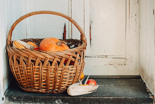 Thanksgiving harvest basket on rustic white door porch. Autumn festive pumpkin crops. November background. Fall aesthetic wallpaper. Traditional festival holiday Halloween october postcard