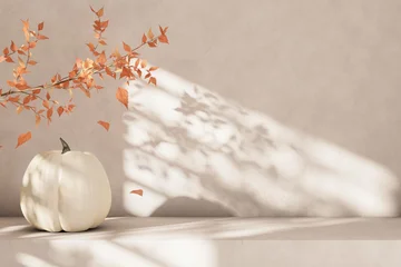 Minimal aesthetic autumn interior decor white thanksgiving pumpkin on empty table. Cozy holiday tabletop display. Natural fall mockup template. Beauty, fashion, lifestyle luxury brand display. October © hitdelight