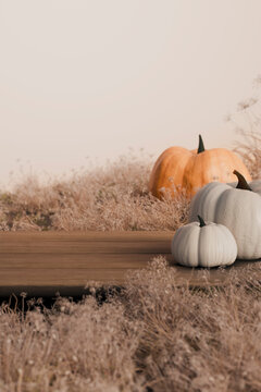 Autumn pumpkins on wooden table in nature field. Abstract thanksgiving background for product display. Halloween tabletop. Aesthetic mockup in pastel neutral tones.