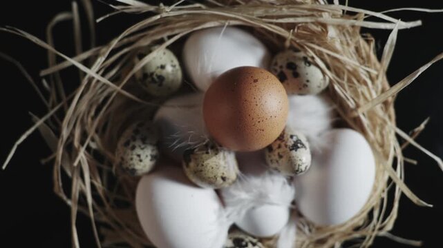 A nest of eggs with a single egg in the center