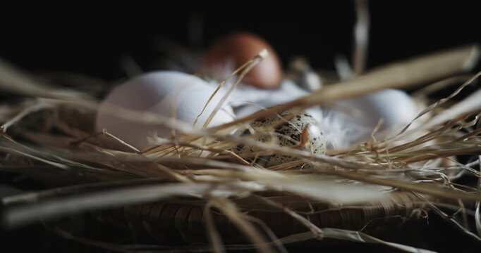 A basket of eggs with a quail egg in the middle