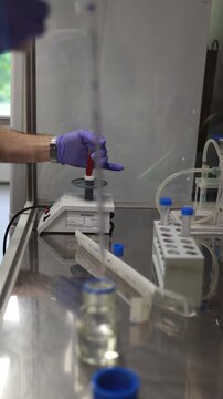 Close-up shot of researcher's hands in protective purple nitrile gloves mixing brown chemical solution in test tube using laboratory vortex mixer. Video shows the process of homogenization and prepara