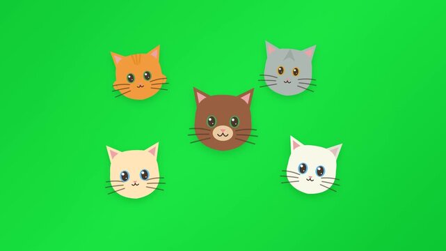 A perfectly clean, strictly minimalist 2D motion graphic featuring five cute, uniquely colored kitten heads floating gracefully on a solid green background. The animation features smooth deterministic