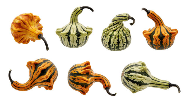 Collection of assorted decorative gourds with unique shapes and striped patterns in orange, green, and... isolated on a transparent background