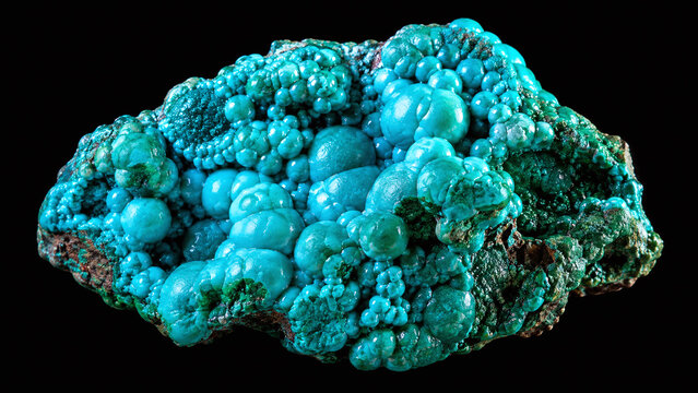 Raw chrysocolla mineral macro showing vivid turquoise-blue botryoidal dome surface with peacock teal variation on pure black background studio lighting