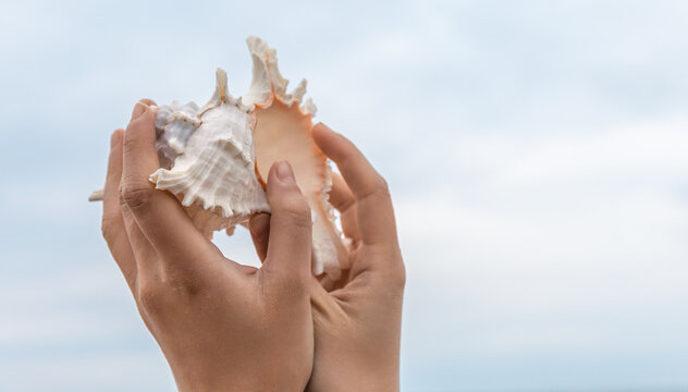 Woman Holding Large Seashell Outside