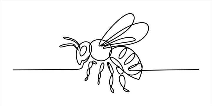 Continuous single line drawing of a flying honey bee insect in black ink style