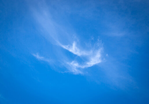 Soft white cirrus cloud on vibrant blue sky background with copy space.