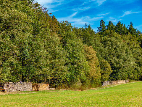 Brennholzlager am Waldrand