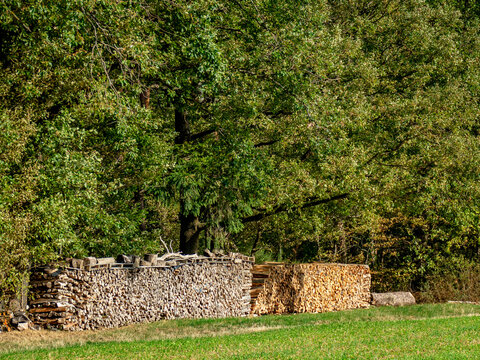Brennholzlager am Waldrand