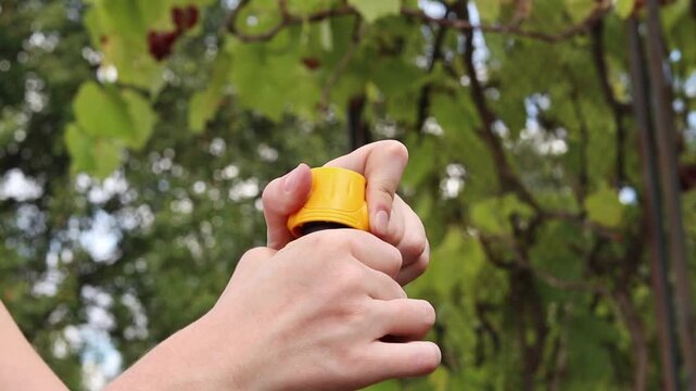 Close-up of hands tightening yellow plastic connector (quick release) on green garden hose on blurred background of green leaves in garden. Garden care, preparing watering equipment