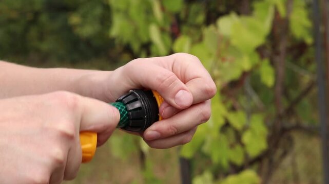 Close-up of hands tightening yellow plastic connector (quick release) on green garden hose on blurred background of green leaves in garden. Garden care, preparing watering equipment