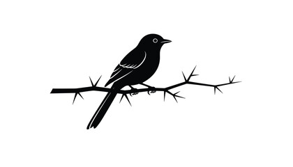 Obraz premium Black bird silhouette perched on a thorny tree branch, depicting nature and wildlife in a minimalist graphic style.