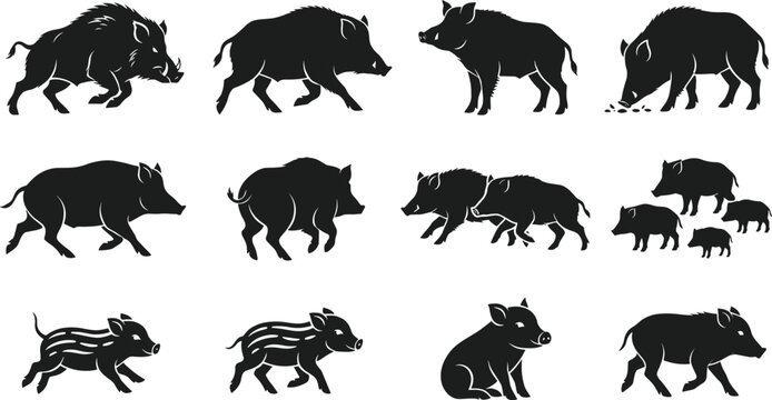 Wild Boar Silhouette Vector Icon Set with Razorback Boars Running Feeding Standing and Striped Boar Piglets for Hunting and Forest Wildlife Graphic Designs