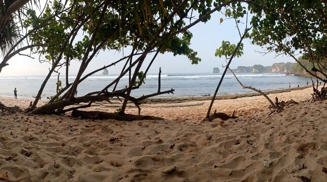 Shadows in the Sand, Light on the Beyond