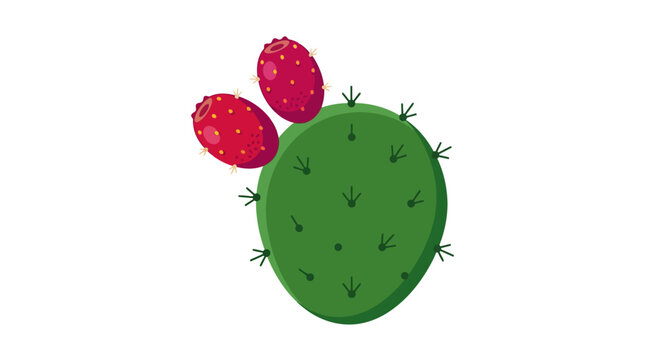 Prickly pear cactus with red fruits is a flat vector illustration